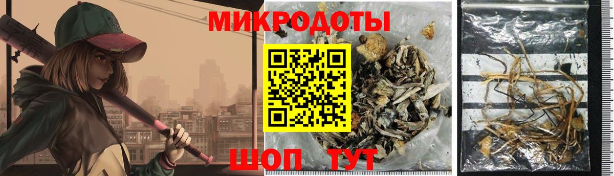 Галлюциногенные грибы Psilocybe  Вход с VPN  Медногорск 